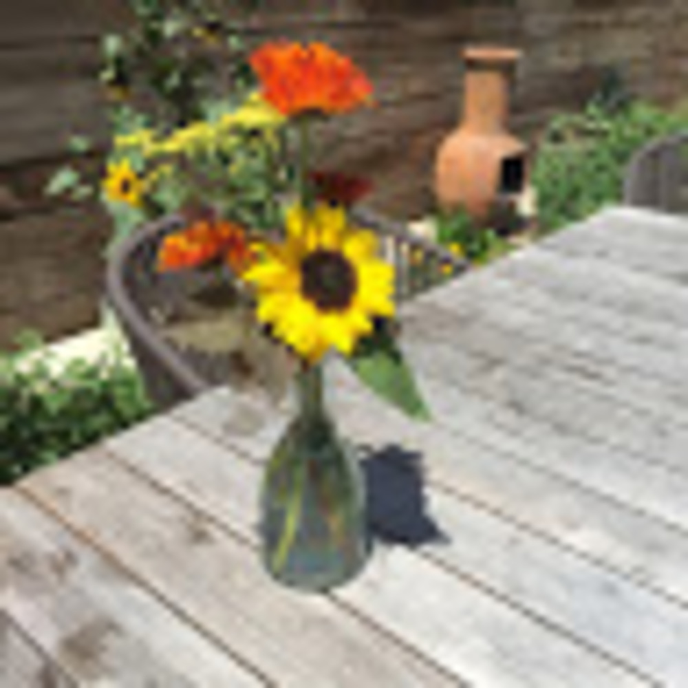 Meet your Posher, Mackenzie